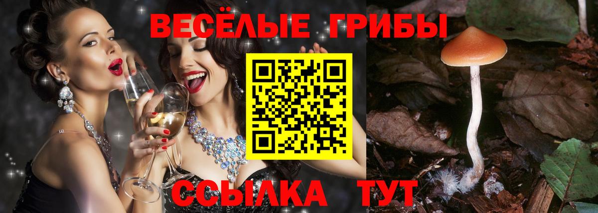 Гашиш  Марихуана  Лесосибирск  Меф МЯУ МЯУ   Вход с VPN  А ПВП СОЛЬ   Метамфетамин  ГАШИШ  Кокаин 